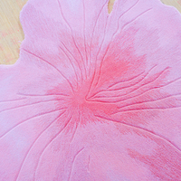 Tapis en laine faits à la main personnalisés beaux tapis tuftés de forme unique rose pour les studios de galerie d'art à la maison