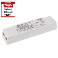 Zigbee Tuya driver led cerdas, lampu redup & tunik bluetooth putih, WIFI, Jala, arus konstan 6-42v 5w-80w