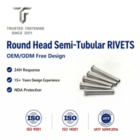 Rivets semi-tubulaires à tête ronde en laiton TianFang pour la production de contacts électriques, finition nickelée, approvisionnement stable par lots
