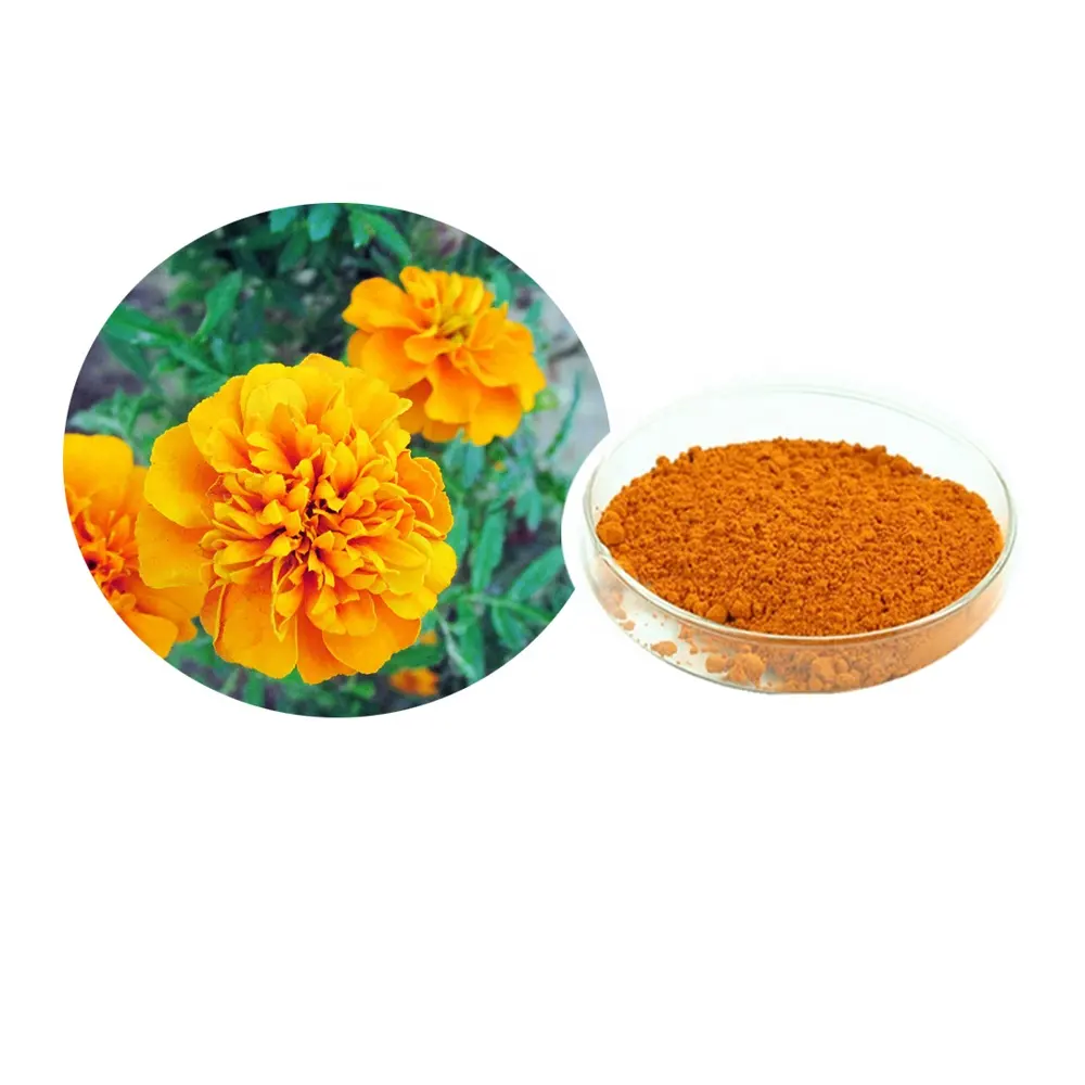 Poudre d'extrait de souci Extrait de fleur de souci Tagetes erecta L. Extrait Lutéin80 %