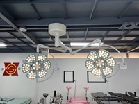Plafond LED Chirurgie Théâtre Lampe Opération Lampe Fleur Type Théâtre D'opération Lumière Led Celling Chirurgical Lumière