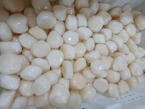 ไข่ปลาทะเลแช่แข็ง <span class=keywords><strong>Hotate</strong></span> ไข่ปลาหอยเชลล์ญี่ปุ่น - Product Image 2