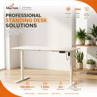 Bureau PC électrique pour e-sport, réglable en hauteur, design moderne, en fer et bois, pour la maison, le bureau ou la chambre, montage facile