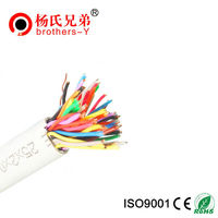 Câble de communication multipaire CAT5e de haute qualité Brothers-Y 2 20 25 50 100 300 paires Guangdong