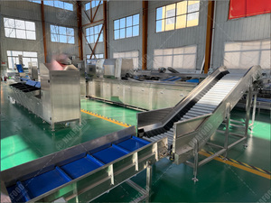 Clasificador Inteligente de <span class=keywords><strong>Papas</strong></span> - <span class=keywords><strong>Identificación</strong></span> de Defectos por IA para Fábricas de <span class=keywords><strong>Papas</strong></span> Fritas - Product Image 6