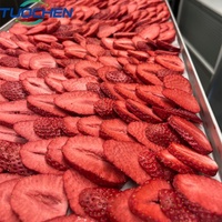 Huis-tuin-en-keuken vriesdroogmachine automatische pomp PLC lyofilisator voedselverwerking fruit vlees snoep drogen 3kg capaciteit SUS304 materiaal