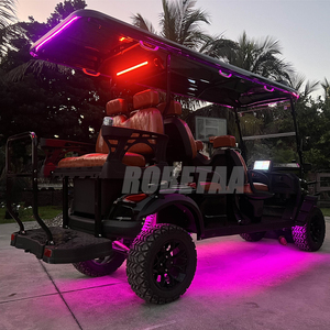 2025 Hot offroad săn bắn giỏ hàng Golf <span class=keywords><strong>Buggy</strong></span> pin lithium xe điện cho 6 người chấp nhận tùy chỉnh - Product Image 6