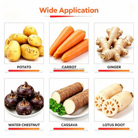 Hoge kwaliteit aardappel- en taro-was- en schilmachine, multifunctionele borstelrol fruit- en groentewasser en -schiller