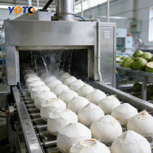 Máquina Peladora de Coco Automática Comercial, Planta de Procesamiento, 220V, Capacidad de 300-3000 kg/h, Origen China, Peso de 5000 kg - Product Image 4