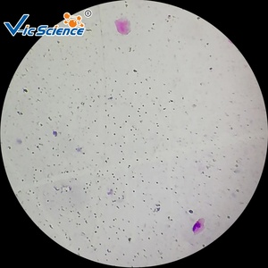 Kính hiển vi chuẩn bị y tế khoa học Slide 30pcs mô học và phôi học Slide - Product Image 2