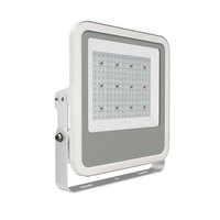 Projecteurs LED antidéflagrants ZGSM-GS04-100BF Ip66 100 Watt 16000 lm avec boîtier en aluminium moulé sous pression pour zones dangereuses