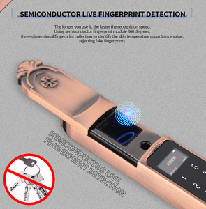 Outside Antirust Antifreeze IP58 Waterproof Smart Fingerprint Lock for Front Door Villa Gate Fence - Product Image 2