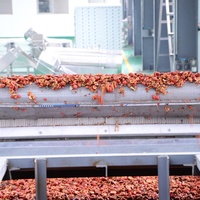 Sécheur pneumatique à lit fluidisé de 10 tonnes pour fruits, sécheur de pruneaux, déshydrateur de prune, sécheur de baies de goji, de myrtilles, de figues séchées