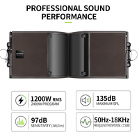 RAYHAYES KARA 212 Subwoofer Pasif Portabel Profesional dari Kayu Birch Ramah Lingkungan Impedansi 8 Ohm Output 2200W