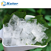 Máquina para Hacer Hielo en Cubos Pequeños Cuadrados Koller 2000kg para Tiendas de Bebidas y Panaderías, Máquina de Hielo en Cubitos CV2000