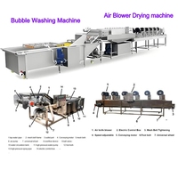 1T 2T 3T Automatische Gewaxte Fruitverwerkingslijn Vers Fruit Mango Citroen Wassen Reiniging Harsen Sorteermachine