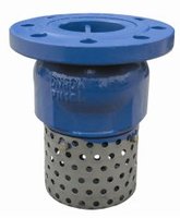 Valve de pied en fonte ductile DN65 PN16 avec écran en acier inoxydable