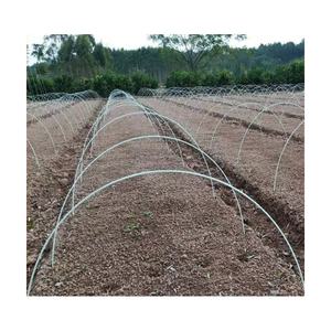 Tige <span class=keywords><strong>en</strong></span> fibre de verre Super March Haoli pour diamètre de bâton de plante de jardin avec 4mm-20mm pour l'agriculture - Product Image 4
