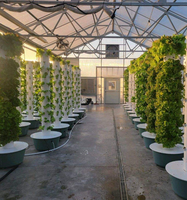 Système de culture vertical aéroponique et hydroponique, tour de culture, pompe automatique, système de jardinage intérieur sur pied, jardinage intelligent pour la maison, culture de légumes