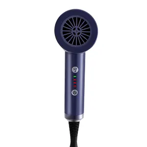 High Quality Professional Salon Low Noise 3 Heat Settings Hair Blower Travel Hair Dryer