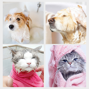 N4P 工場直送 & カスタマイズ可能 ペット用シャンプー｜犬猫用｜毛嚢炎・皮膚の痒みケア - Product Image 4