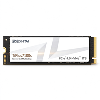 ZHITAI TiPlus7100S PCIe 4.0 NVMe 2.0 M.2 2280 SSD YMTC Xtacking 4.0 TLC Internal Solid State Drive 1TB 2TB 4TB