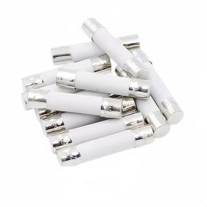 100 шт./упаковка, быстроходный керамический предохранитель 6x30 мм F 0.5A 1A 2A 3A 4A 5A 6A 8A 10A 13A 15A 16A 20A 30A 250V - Product Image 6