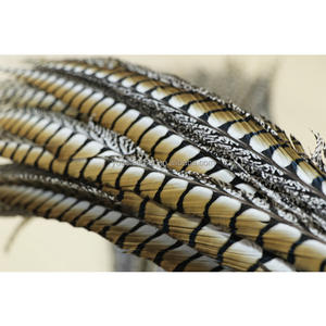 Piume Lunghe di Fagiano Lady Amherst per Costumi di Carnevale, Copricapo, <span class=keywords><strong>Cappello</strong></span> da Ballo, Motivo Tinto in Capo - Product Image 1