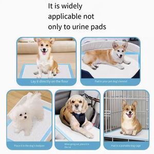 Cartoon Style Biodegradable Puppy Potty Training Diapers Absorbent Wool Bamboo Material Breathable Pee Pads Disposable Pet Pads - Product Image 5