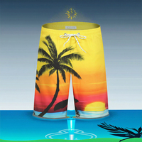 Shorts de bain décontractés 2-en-1 pour hommes, séchage rapide, taille élastique, en toile, avec logo personnalisé imprimé, pour l'été et la plage – Vente en gros