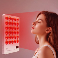Panneau de luminothérapie LED portable à lumière rouge pour soulager les douleurs corporelles, instrument de luminothérapie infrarouge, luminothérapie rouge
