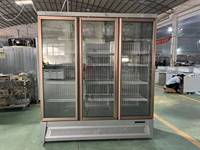 Armoire réfrigérée Wiberda à 3 portes, ventilée ou à refroidissement statique, avec porte vitrée pour la présentation de boissons