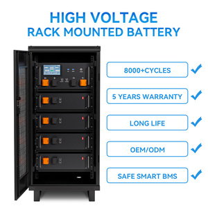 Batterie haute tension IP65 montée sur rack 48V-768V 100Ah-280Ah 6000 cycles 50KW Hybride Écran tactile CAN 4G App - Product Image 4