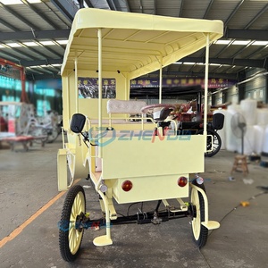 Hotel Essential Exquisite Sightseeing Vehicle Elegant Noble Electric Carriage <b>Double</b>-Row Sightseeing Horse Carriage - Product Image 4