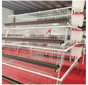 Système d'élevage moderne professionnel de type H, équipement d'élevage automatique de poulets de chair, cage à poulets à haute productivité - Product Image 4