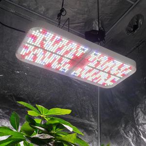 Système de culture LED à spectre complet efficace de 800 W avec une efficacité de 2,8 µmol/J pour la culture intérieure des roses et des fleurs - Product Image 5