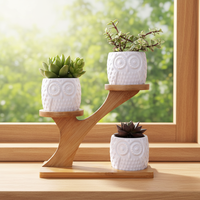 Jolies jardinières en céramique émaillée en forme de hibou et de patte de chat pour plantes succulentes, avec support minimaliste à 3 niveaux en bambou pour la maison, le bureau et le jardin