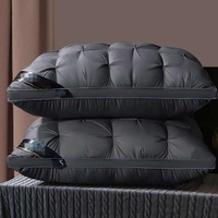 Oreiller élastique en velours plume solide moderne Cinq étoiles Qualité hôtelière Soutien du cou pour adulte Oreiller solide moderne lavable torsadé