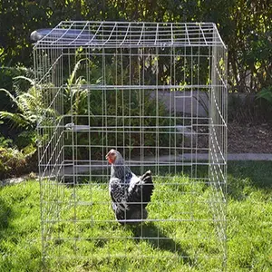 Prix usine fil GI soudé 40 "X 40" cage à coq 12 stylos à mouches de poulet de calibre