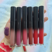 Dropshipping Brillant à Lèvres Imperméable Personnalisé de Marque Privée Maquillage Vegan 24 Heures Rouge à Lèvres Mat Longue Durée
