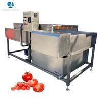 Industriële borstelreinigingsmachine met parallelle borstels voor fruit en groenten, commerciële wasmachine