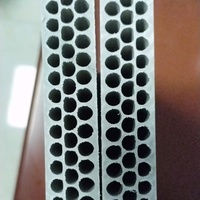Panneaux de coffrage en plastique creux réutilisables en PP pour la construction de murs, colonnes et dalles en béton
