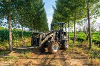 Gelenkter Mini-Radlader Y1160B – für Garten- und Grundstückspflege mit Motor und Pumpe
