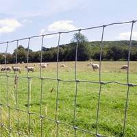 Clôture en rouleau en treillis métallique pour élevage (bovins, chevaux, chèvres) – Hauteur 1,5m/1,8m, Longueur 50m/100m – Prix compétitif