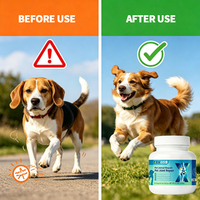 Solution articulaire pour animaux de compagnie en gros : Comprimés de Glucosamine et Chondroïtine pour l'entretien quotidien et le soutien de la mobilité des chiens et des chats – Approvisionnement en vrac