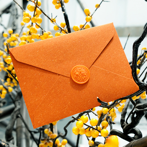 Bán buôn Chất lượng cao đầy màu sắc thảo dược phong bì giấy Ví tự nhiên phong bì cho bưu thiếp và Thẻ quà tặng - Product Image 2