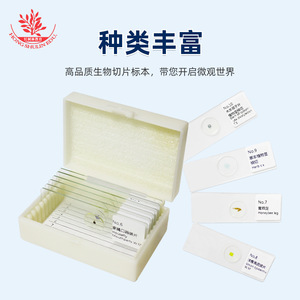 10 types de lamelles de microscope biologique et kit d'accessoires pour microscope : structures de lamelles typiques et échantillons - Product Image 4