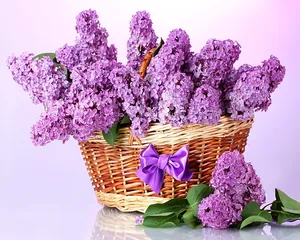 Pintura de Diamantes DIY Clásica LS 5D, <span class=keywords><strong>Flores</strong></span> Púrpura Lila, Broca Redonda, Bordado de Punto de Diamante, Decoración del Hogar - Product Image 2