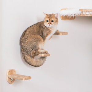 Venta al por mayor: Nuevo diseño moderno de lujo, juguetes para gatos montados en la pared, rascadores y estructuras de escalada para gatos. - Product Image 5