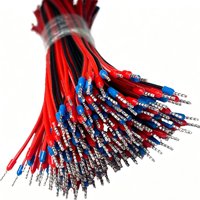 Kabel Jumper Merah Hitam Kustom dengan Terminal Berujung Crimp, Kabel Harness Pra-potong untuk Koneksi Internal Peralatan Industri